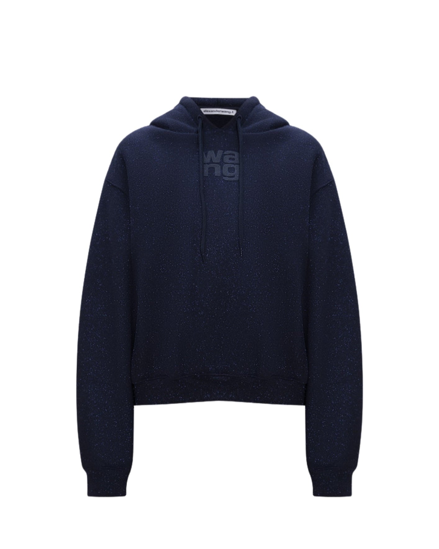 Alexander Wang - Blue Glitter Hoodie with Textured Logo